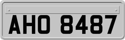 AHO8487