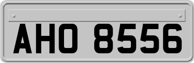 AHO8556