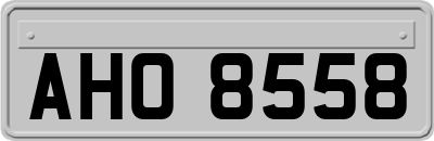 AHO8558