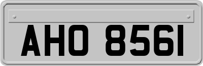 AHO8561
