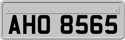 AHO8565