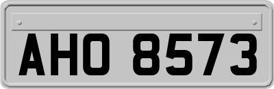 AHO8573