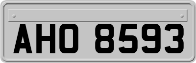 AHO8593