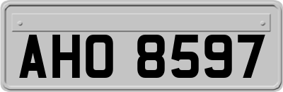 AHO8597