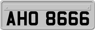 AHO8666