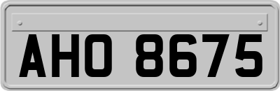 AHO8675