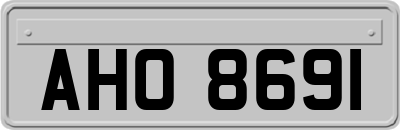 AHO8691