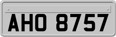AHO8757
