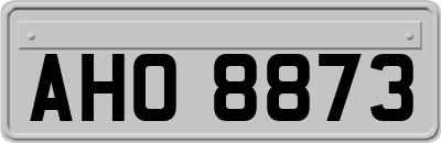 AHO8873
