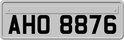 AHO8876