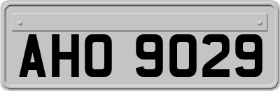 AHO9029