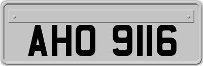AHO9116