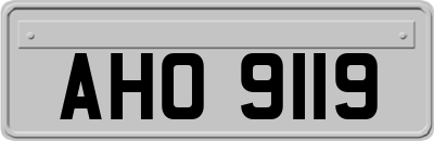 AHO9119