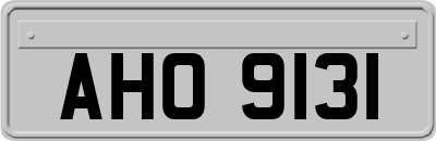 AHO9131