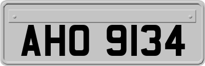 AHO9134