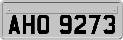 AHO9273