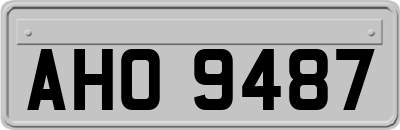AHO9487