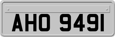 AHO9491