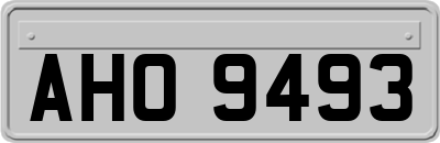 AHO9493