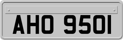 AHO9501