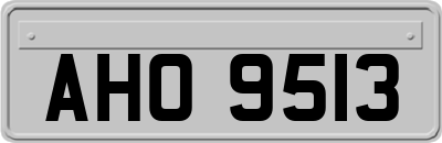 AHO9513