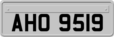 AHO9519