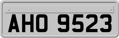 AHO9523