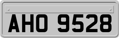 AHO9528