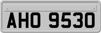 AHO9530
