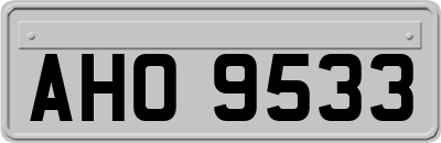 AHO9533