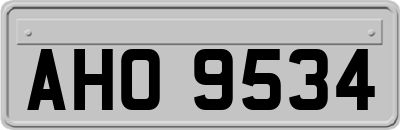 AHO9534