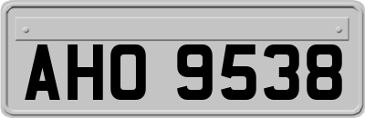 AHO9538
