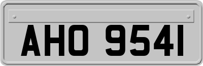 AHO9541