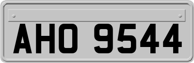 AHO9544