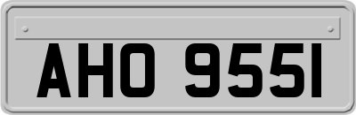 AHO9551