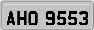 AHO9553