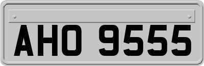 AHO9555