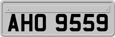 AHO9559
