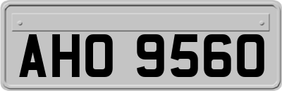 AHO9560