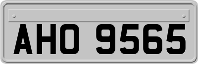 AHO9565