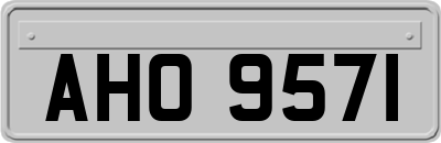 AHO9571