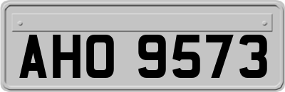 AHO9573