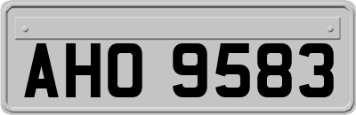 AHO9583
