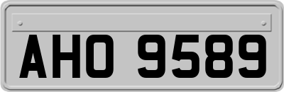 AHO9589