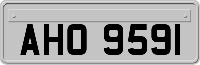 AHO9591