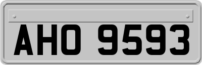 AHO9593