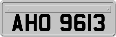 AHO9613