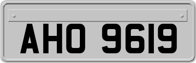 AHO9619