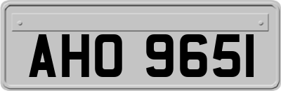 AHO9651