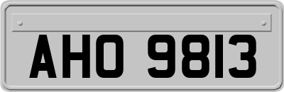AHO9813